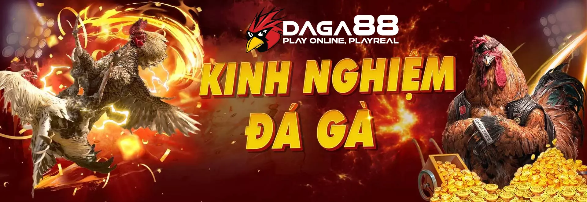 Daga88 - Trang Đá gà trực tuyến uy tín