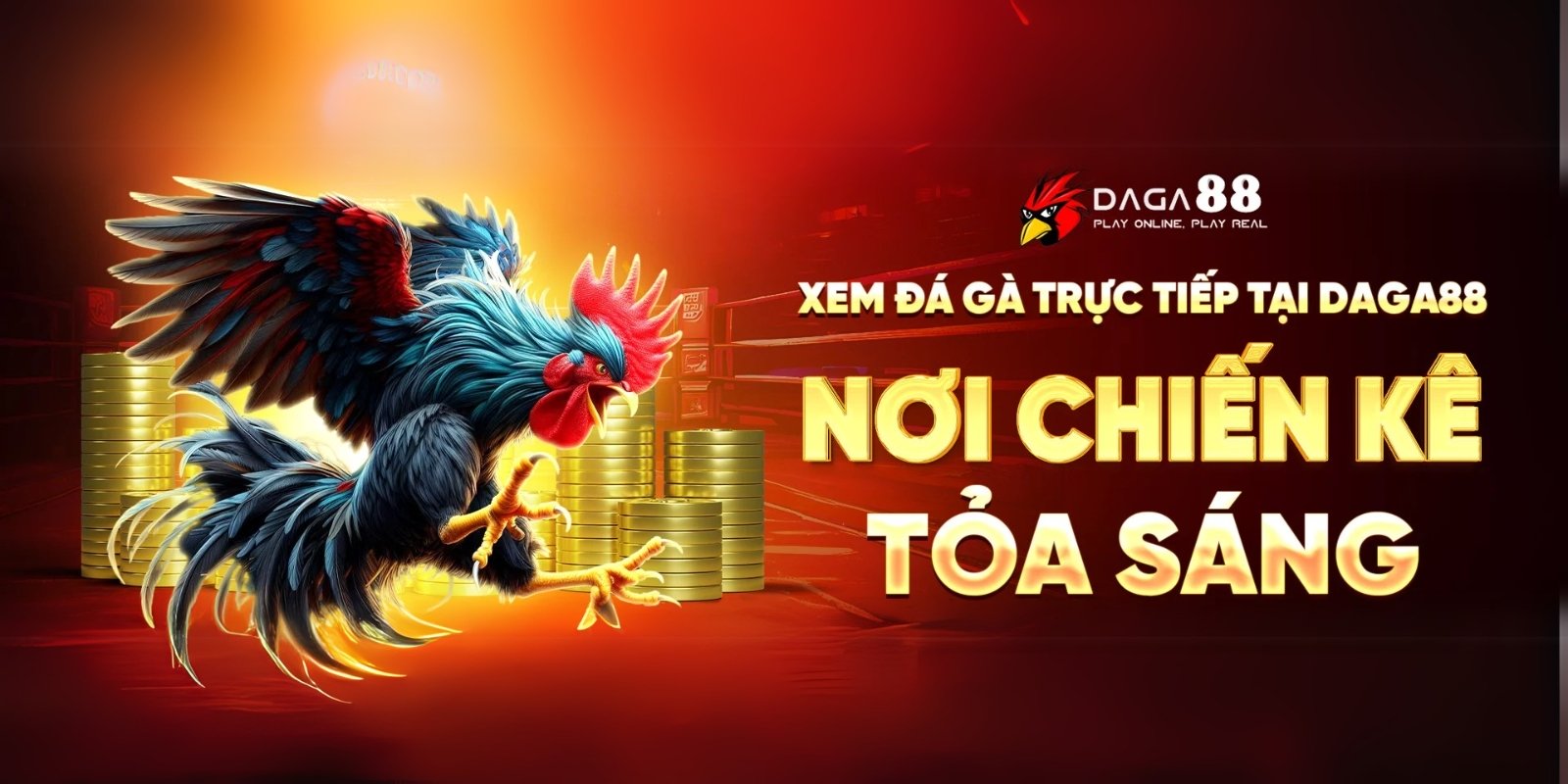 Đá gà trực tiếp Đá gà trực tiếp