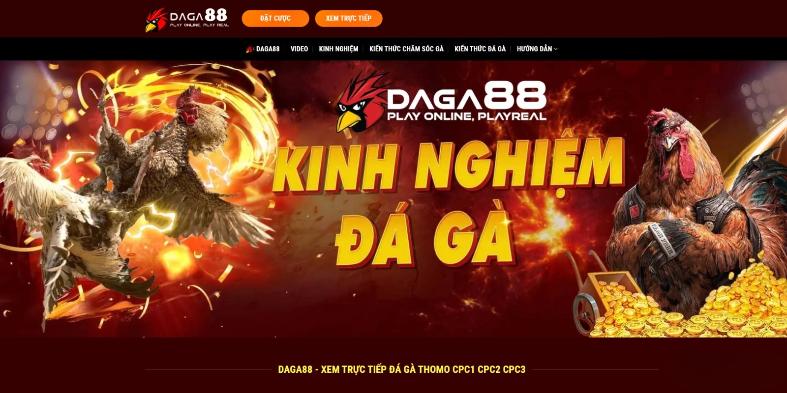 Giới thiệu tổng quan về Đá Gà 88 Giới thiệu tổng quan về Đá Gà 88