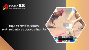 TRẬN 28 CPC3 30/5/2025 : ANH PHÁT ĐỨC HÒA vs ANH QUANG VŨNG TÀU