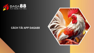 Hướng Dẫn Cách Tải App Đá Gà 88 Trên IOS và Android