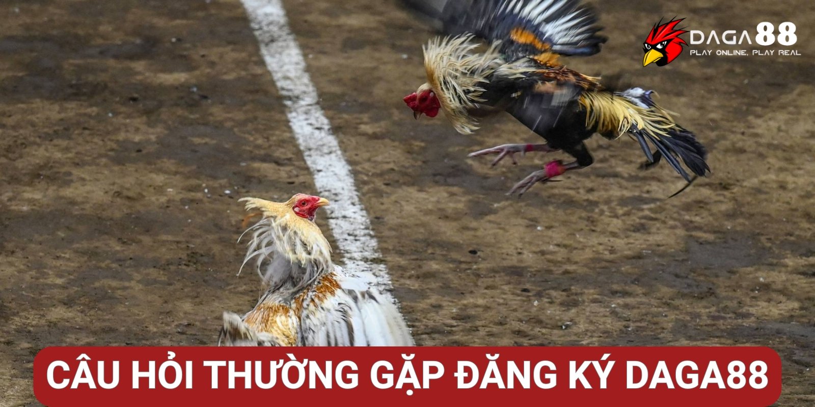 Câu hỏi thường gặp khi đăng ký đặt cược Daga88 Câu hỏi thường gặp khi đăng ký đặt cược Daga88