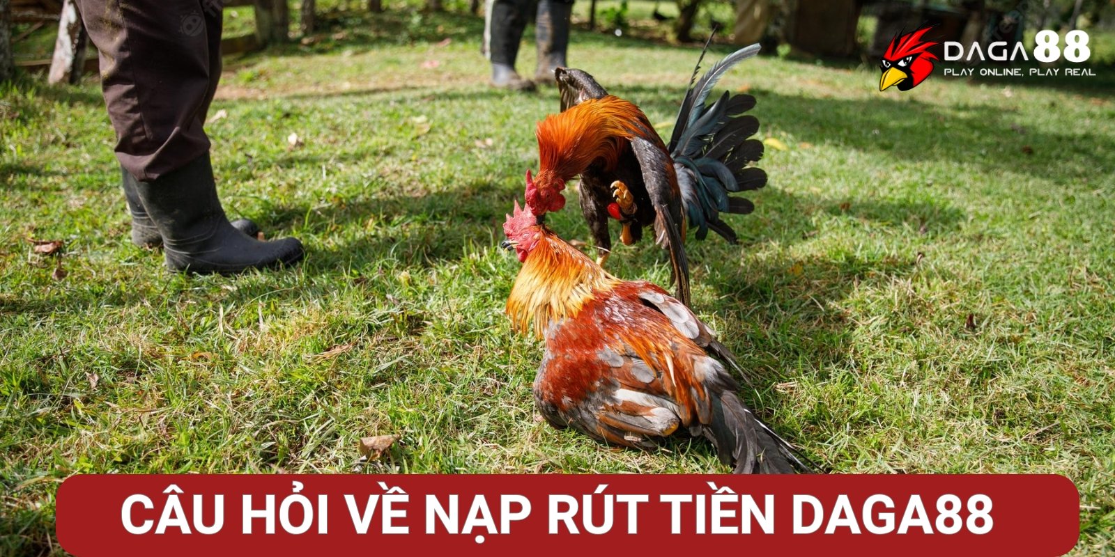 Câu hỏi thường gặp về nạp rút tiền Daga88 Câu hỏi thường gặp về nạp rút tiền Daga88