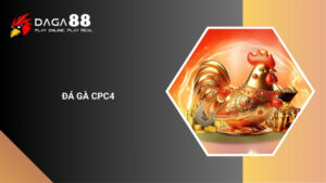 Đá Gà CPC4 Là Gì? Đấu Trường Thomo Mới Lạ, Đẳng Cấp