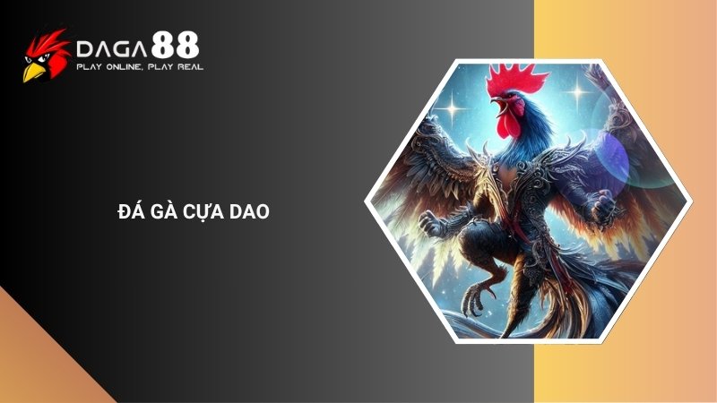 Đá Gà Cựa Dao Là Gì? Luật Chơi Và Mẹo Thi Đấu Hiệu Quả