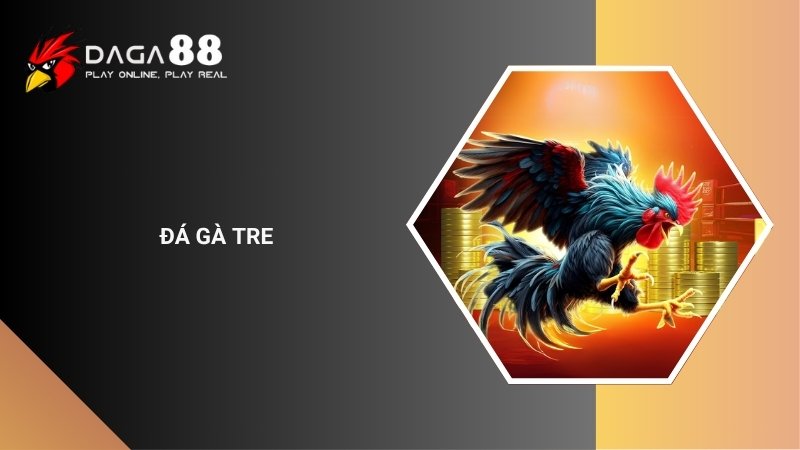 Đá Gà Tre Là Gì? Luật Chơi Và Kinh Nghiệm Thi Đấu
