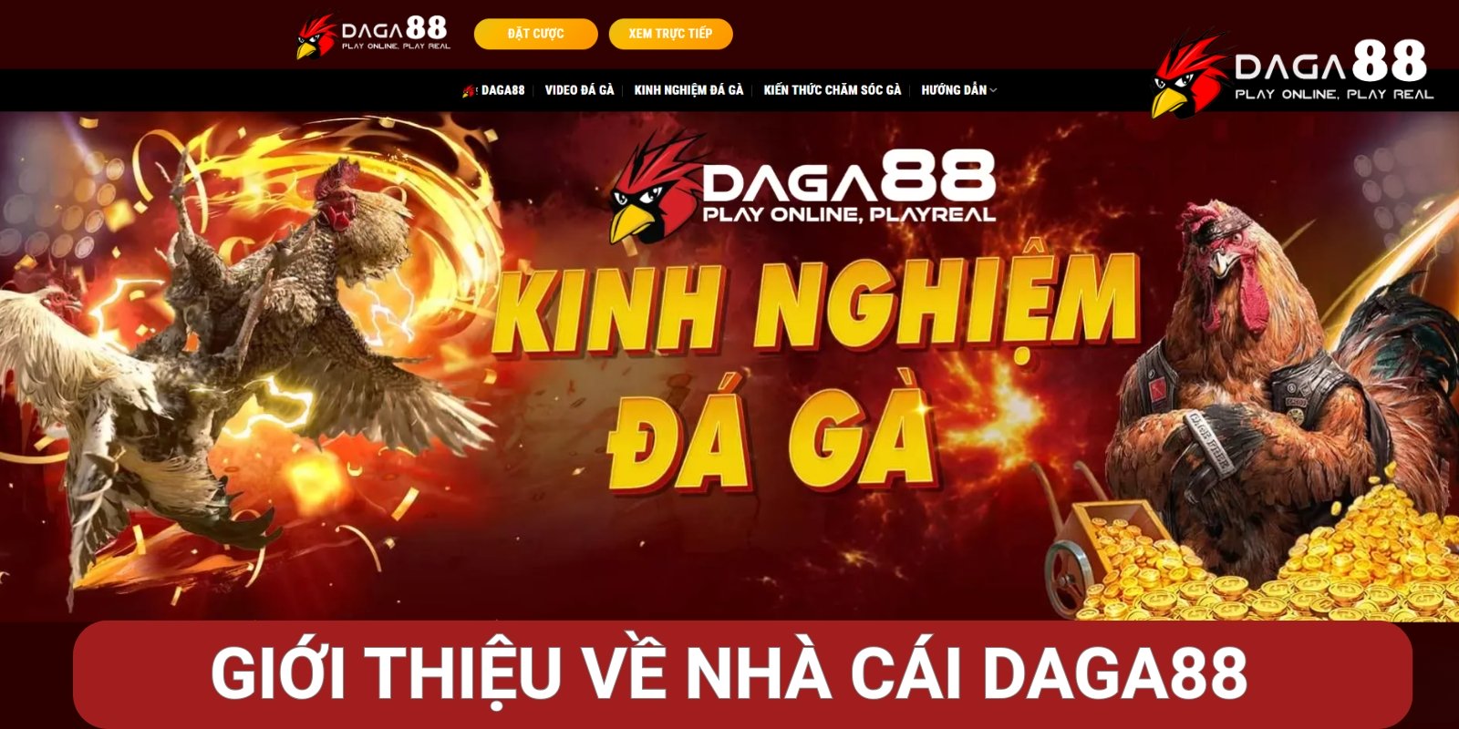 Giới thiệu về nhà cái Daga88 Giới thiệu về nhà cái Daga88