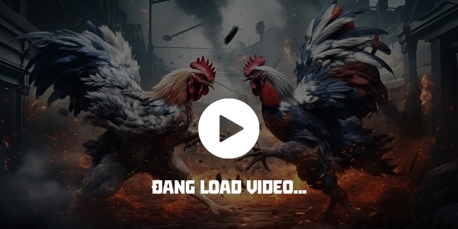 Giới thiệu về video Đá Gà Thomo tại Daga88