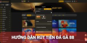 Hướng Dẫn Rút Tiền Đá Gà 88 Nhanh Chóng, An Toàn