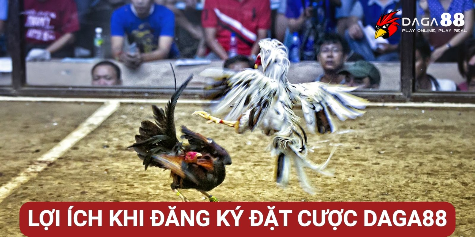 Lợi ích khi đăng ký đặt cược Daga88 Lợi ích khi đăng ký đặt cược Daga88