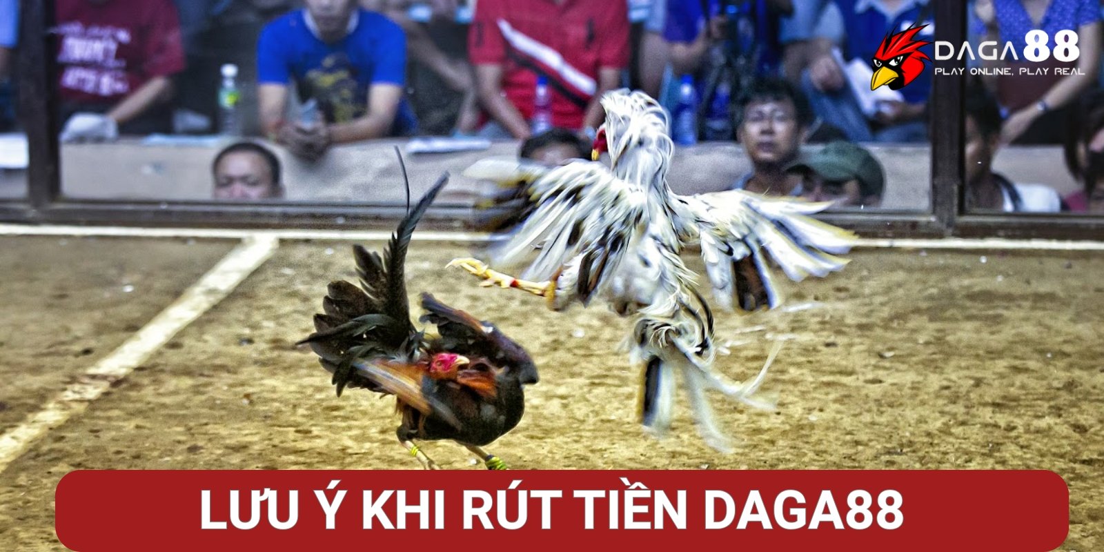 Hướng Dẫn Cách Nạp Rút Tiền Daga88 Nhanh Chóng, An Toàn 1 Lưu ý quan trọng khi rút tiền Đá Gà 88