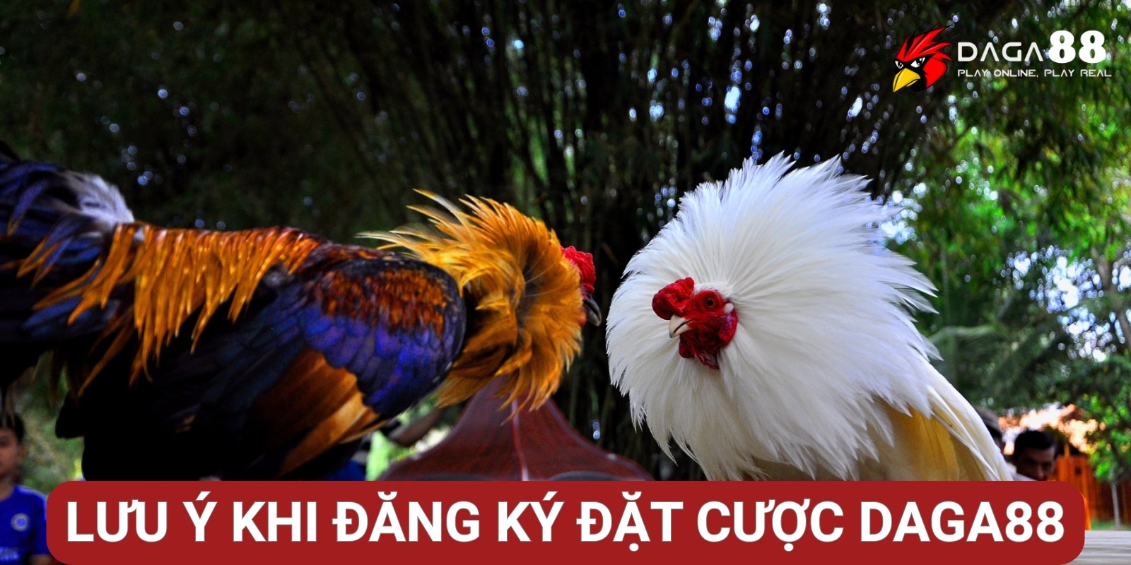 Những lưu ý quan trọng khi đăng ký đặt cược Daga88 Những lưu ý quan trọng khi đăng ký đặt cược Daga88
