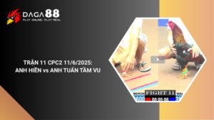 TRẬN 11 CPC2 11/6/2025 : ANH HIỀN vs ANH TUẤN TẦM VU