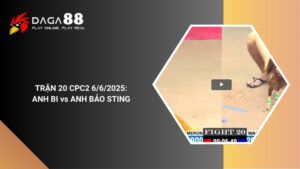 TRẬN 20 CPC2 6/6/2025 : ANH BI vs ANH BẢO STING