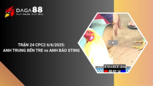 TRẬN 24 CPC2 6/6/2025 : ANH TRUNG BẾN TRE vs ANH BẢO STING