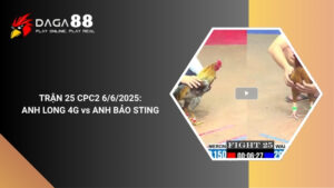 TRẬN 25 CPC2 6/6/2025 : ANH LONG 4G vs ANH BẢO STING