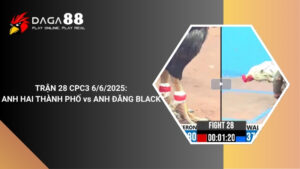 TRẬN 28 CPC3 6/6/2025 : ANH HAI THÀNH PHỐ vs ANH ĐĂNG BLACK