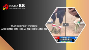 TRẬN 33 CPC3 11/6/2025 : ANH GIANG ĐỨC HÒA vs ANH HIẾU LONG AN