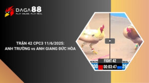 TRẬN 42 CPC3 11/6/2025 : ANH TRƯỜNG vs ANH GIANG ĐỨC HÒA