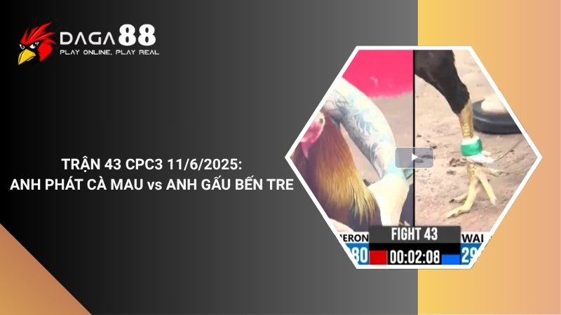 TRẬN 43 CPC3 11/6/2025 : ANH PHÁT CÀ MAU vs ANH GẤU BẾN TRE