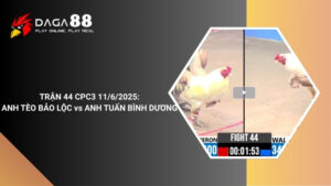 TRẬN 44 CPC3 11/6/2025 : ANH TÈO BẢO LỘC vs ANH TUẤN BÌNH DƯƠNG