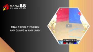 TRẬN 9 CPC2 11/6/2025 : ANH QUANG vs ANH LÀNH